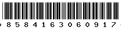 8584163060917
