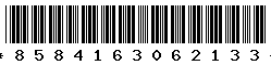 8584163062133