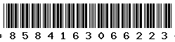 8584163066223