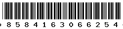 8584163066254