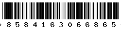 8584163066865