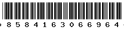 8584163066964