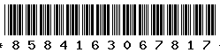 8584163067817