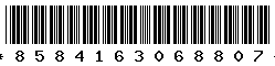 8584163068807 8584163068807