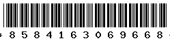 8584163069668 8584163069668