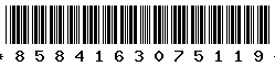 8584163075119 8584163075119