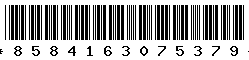 8584163075379 8584163075379