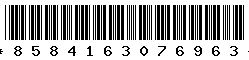 8584163076963