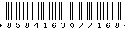 8584163077168
