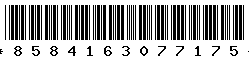 8584163077175