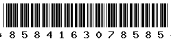 8584163078585