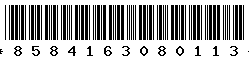 8584163080113