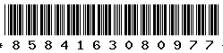 8584163080977