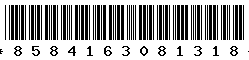 8584163081318 8584163081318