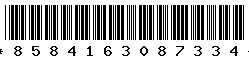 8584163087334