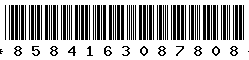 8584163087808