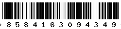8584163094349