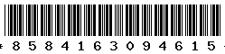 8584163094615