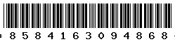 8584163094868
