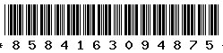 8584163094875