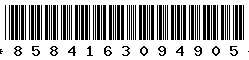 8584163094905