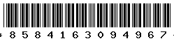 8584163094967