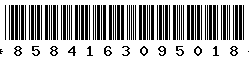 8584163095018