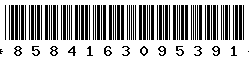 8584163095391