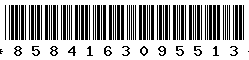 8584163095513