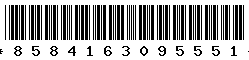 8584163095551