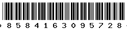 8584163095728