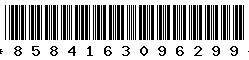 8584163096299 8584163096299