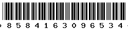 8584163096534 8584163096534