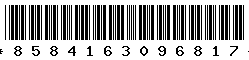 8584163096817