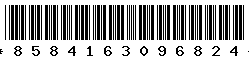 8584163096824
