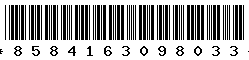 8584163098033 8584163098033