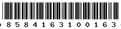 8584163100163