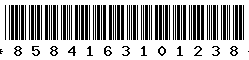 8584163101238 8584163101238