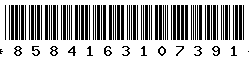 8584163107391 8584163107391