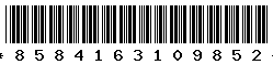 8584163109852