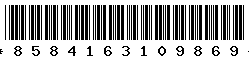 8584163109869