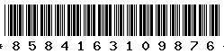 8584163109876