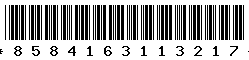 8584163113217