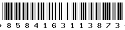 8584163113873