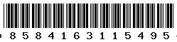 8584163115495