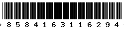 8584163116294