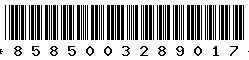 8585003289017