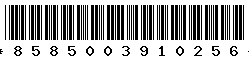 8585003910256