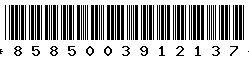 8585003912137