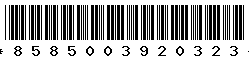 8585003920323